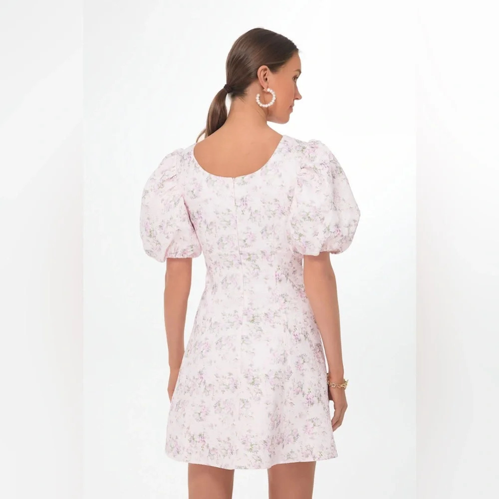 NWT Tuckernuck HYACINTH HOUSE Pink Jacquard Empire Ella Mini Dress Medium - Picture 5 of 9